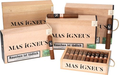 Zigarren der Serie Luciano Mas Igneus