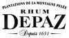 Logo der Marke Depaz