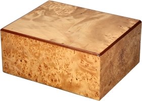 Zigarrenzubehör Humidor  Guy Janot Wurzel Elegance (603)