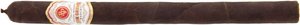 Zigarren Nicaragua  Rocky Patel Lancero