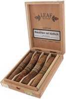 Oscar Valladares Sampler The Leaf Honduras (4er Kiste)