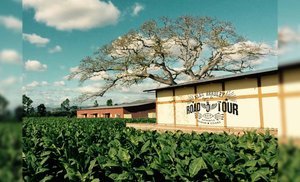 Zigarrenzubehör Merchandise  Alec Bradley Keilrahmen Road Tour 2017 Motiv Tabac Field