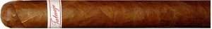 Tatuaje P Serie P1