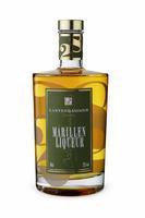 Spirituosen Likör  Lantenhammer Marille 25% 0,05 Liter (2011)