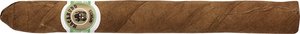Zigarren Dominikanische Republik  Macanudo Ascots