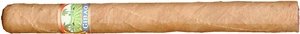 Zigarren Dominikanische Republik  Cibao Elegantes (2er Holzkiste)