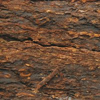 Tabak Pfeifentabak  Samuel Gawith Bracken Flake 50g