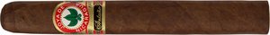 Zigarren Nicaragua  Joya de Nicaragua Alisado