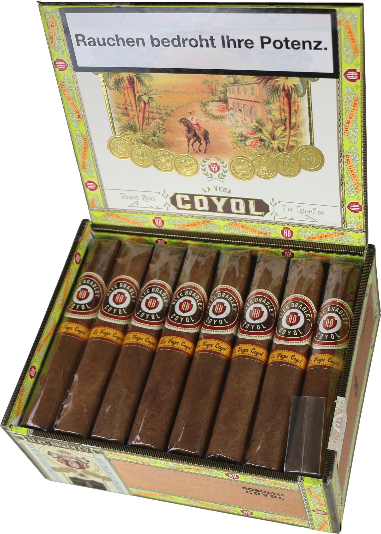 Coyol Robusto Kiste offen