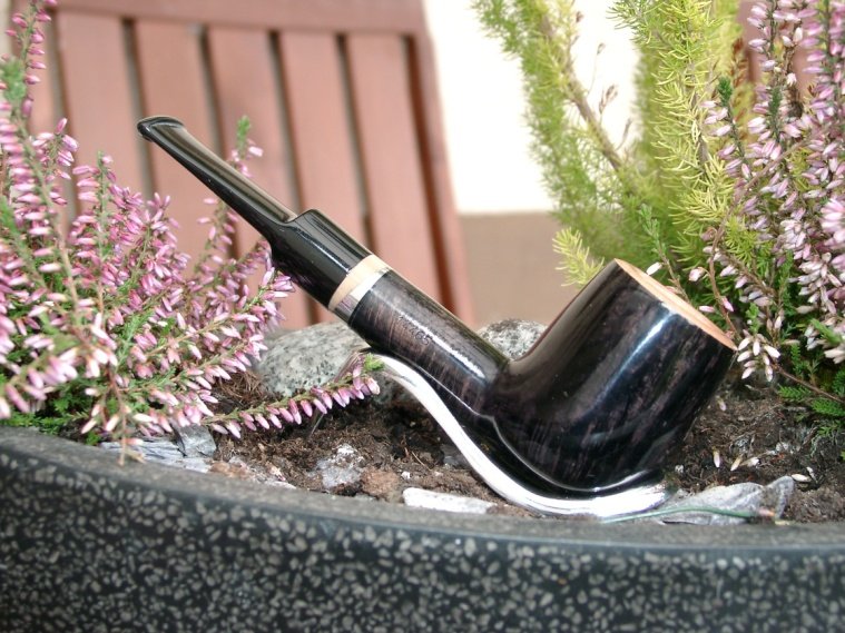 Giordano Borgia Modell 14465