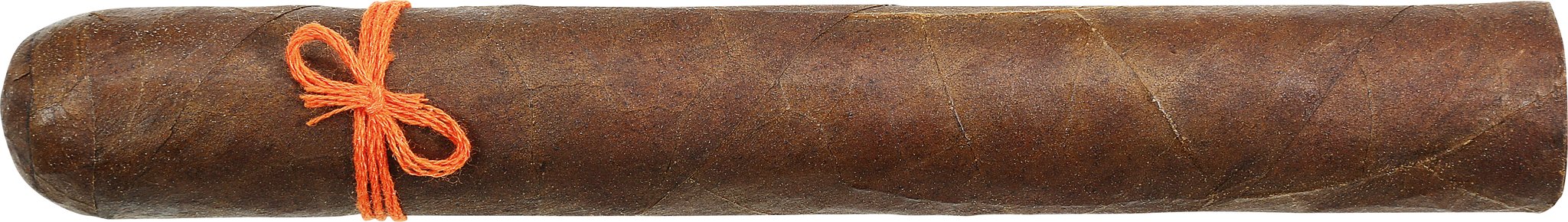 Pitbull Puros Mahestro