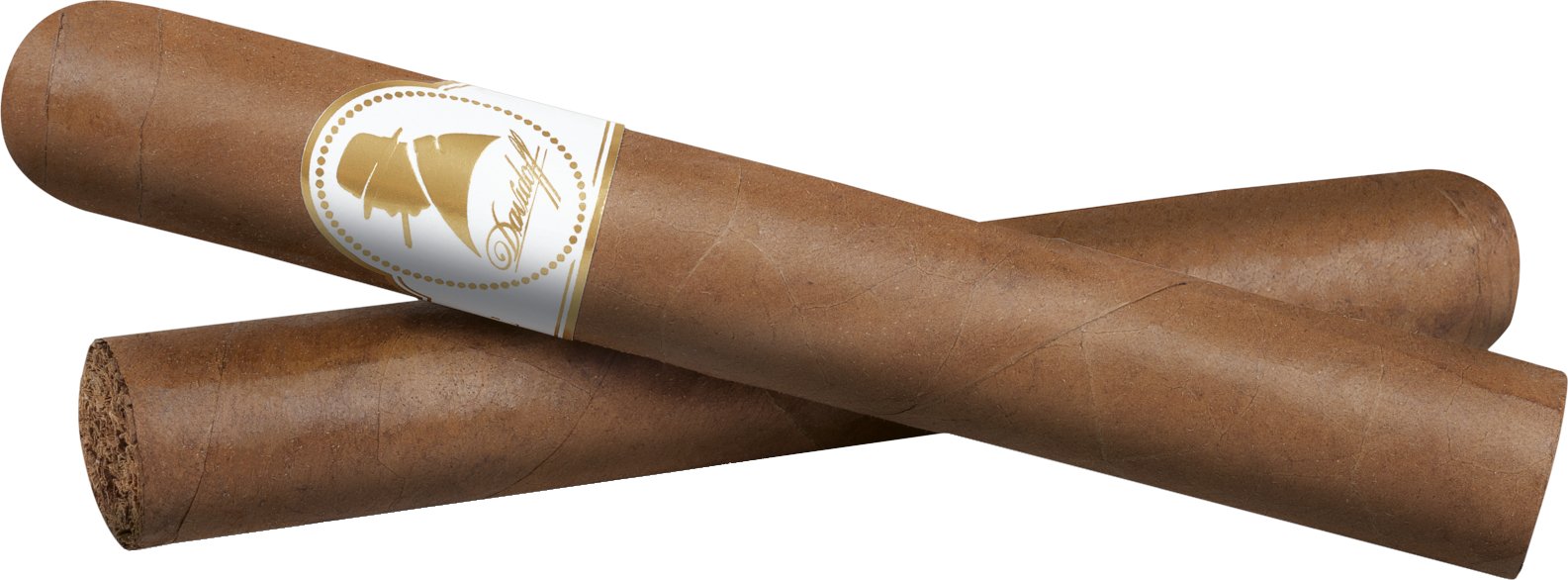 Davidoff Winston Churchill Petit Corona The Artist Detailbild