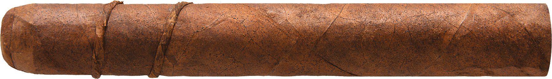 CAO Amazon Basin Anaconda