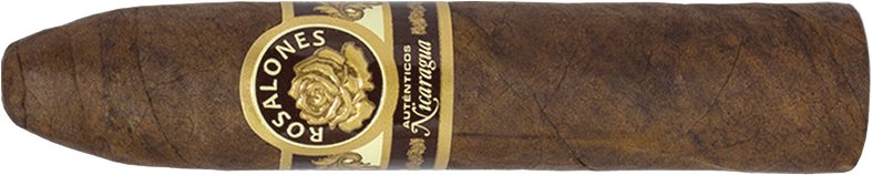 Joya de Nicaragua Rosalones 460