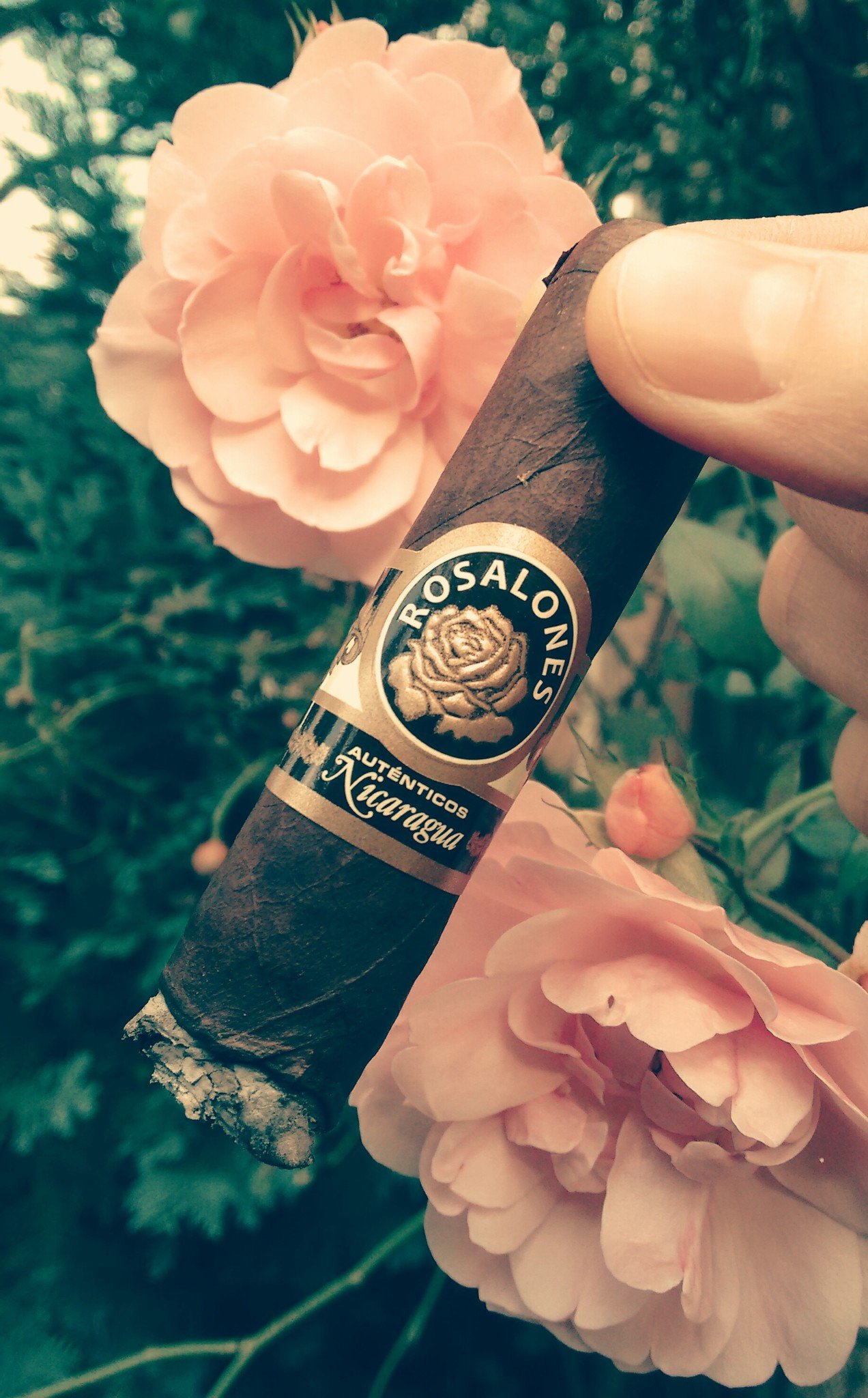 Joya de Nicaragua Rosalones 446 Finish