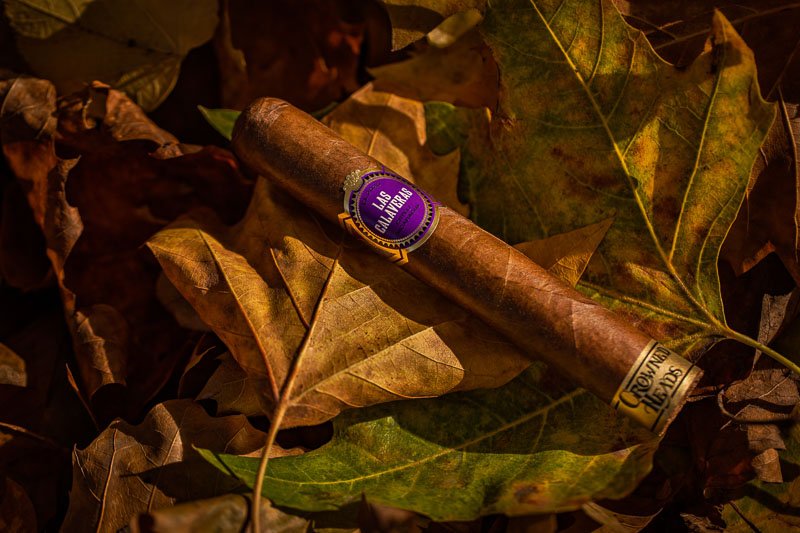 Crowned Heads Las Calaveras Edición Limitada 2020 LC 56 Stimmungsbild 3