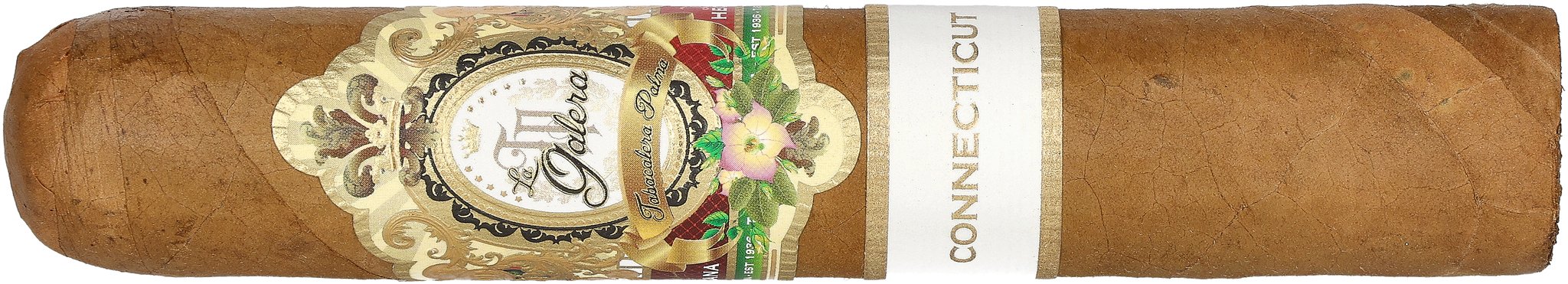 Pilon (Short Gordo)_Zigarre