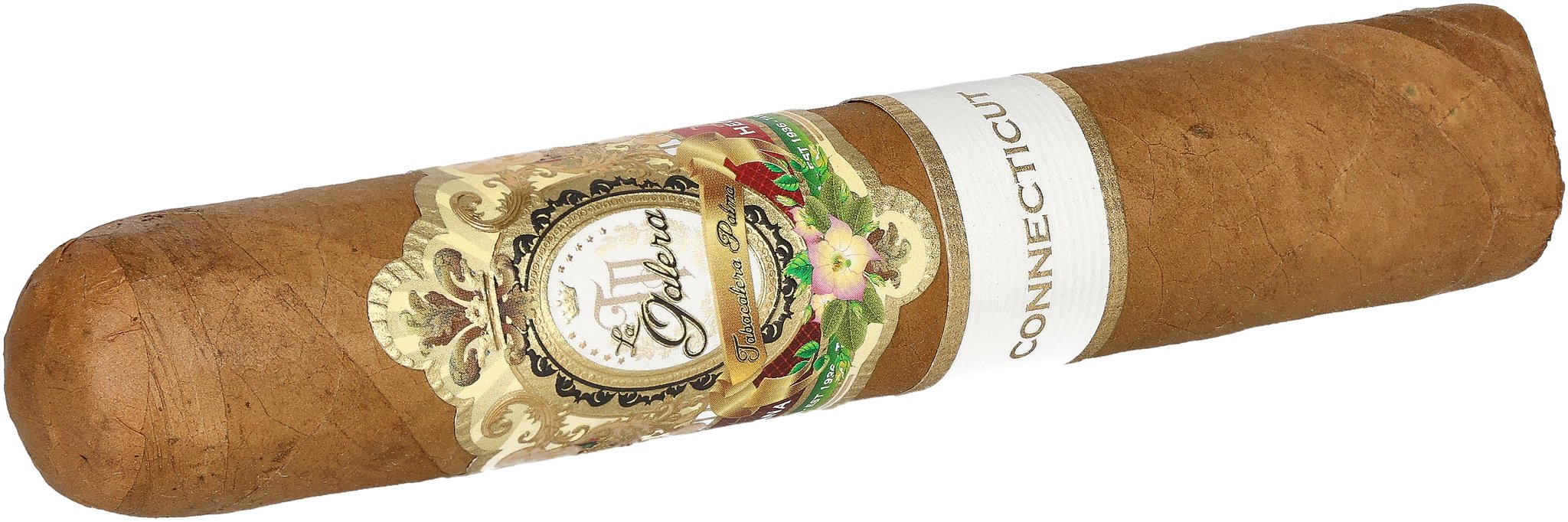 Pilon (Short Gordo)_Zigarre