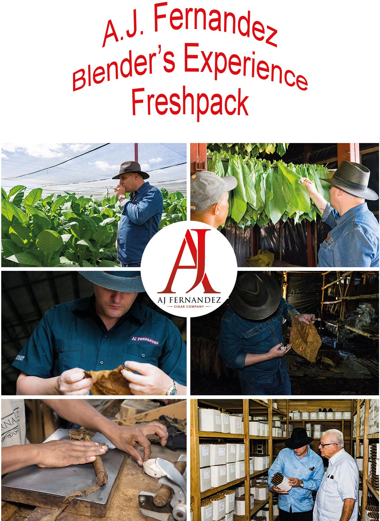 A.J. Fernandez Sampler Blender‘s Experience Freshpack Flyer Vorderseite
