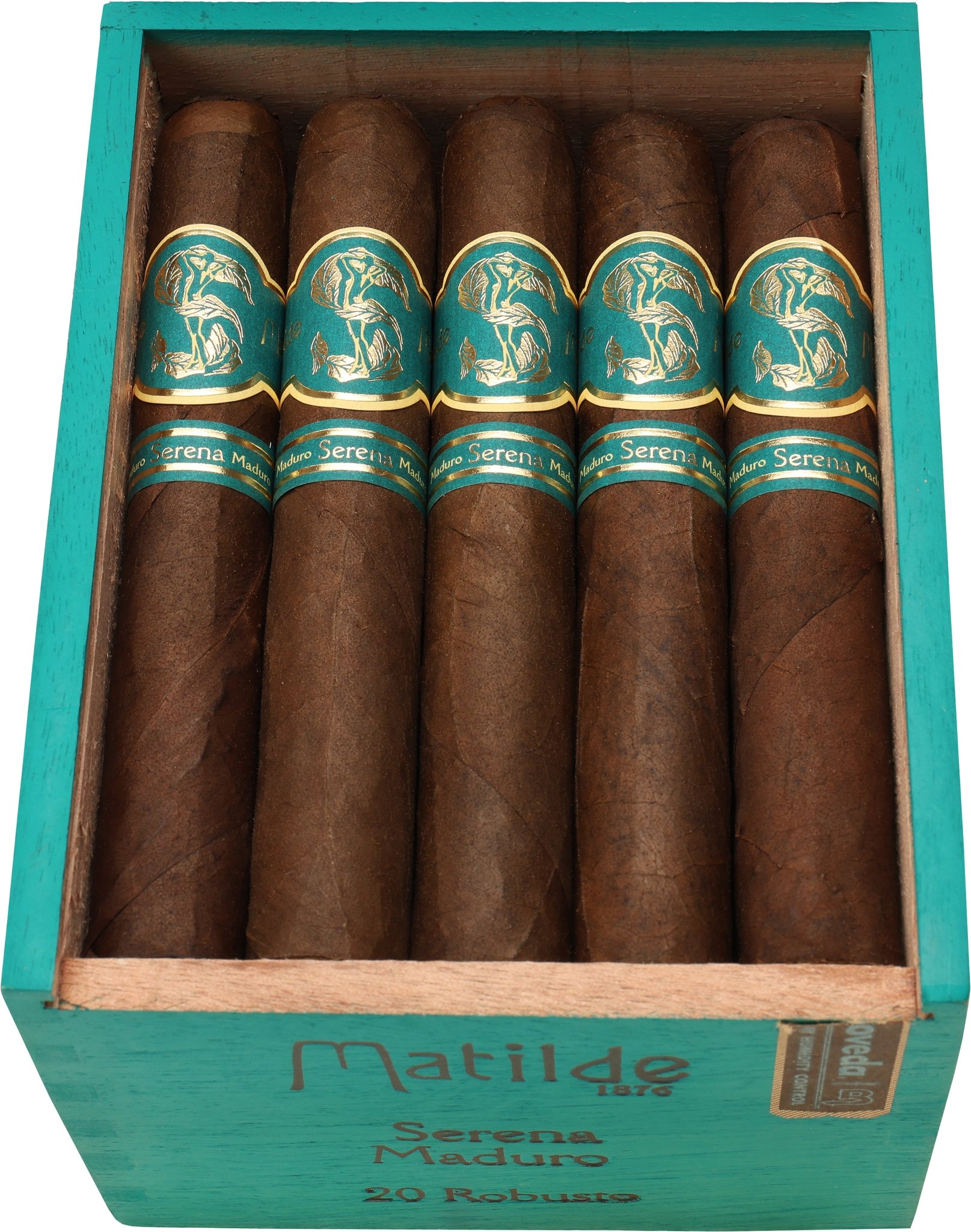 Robusto Maduro detail 3