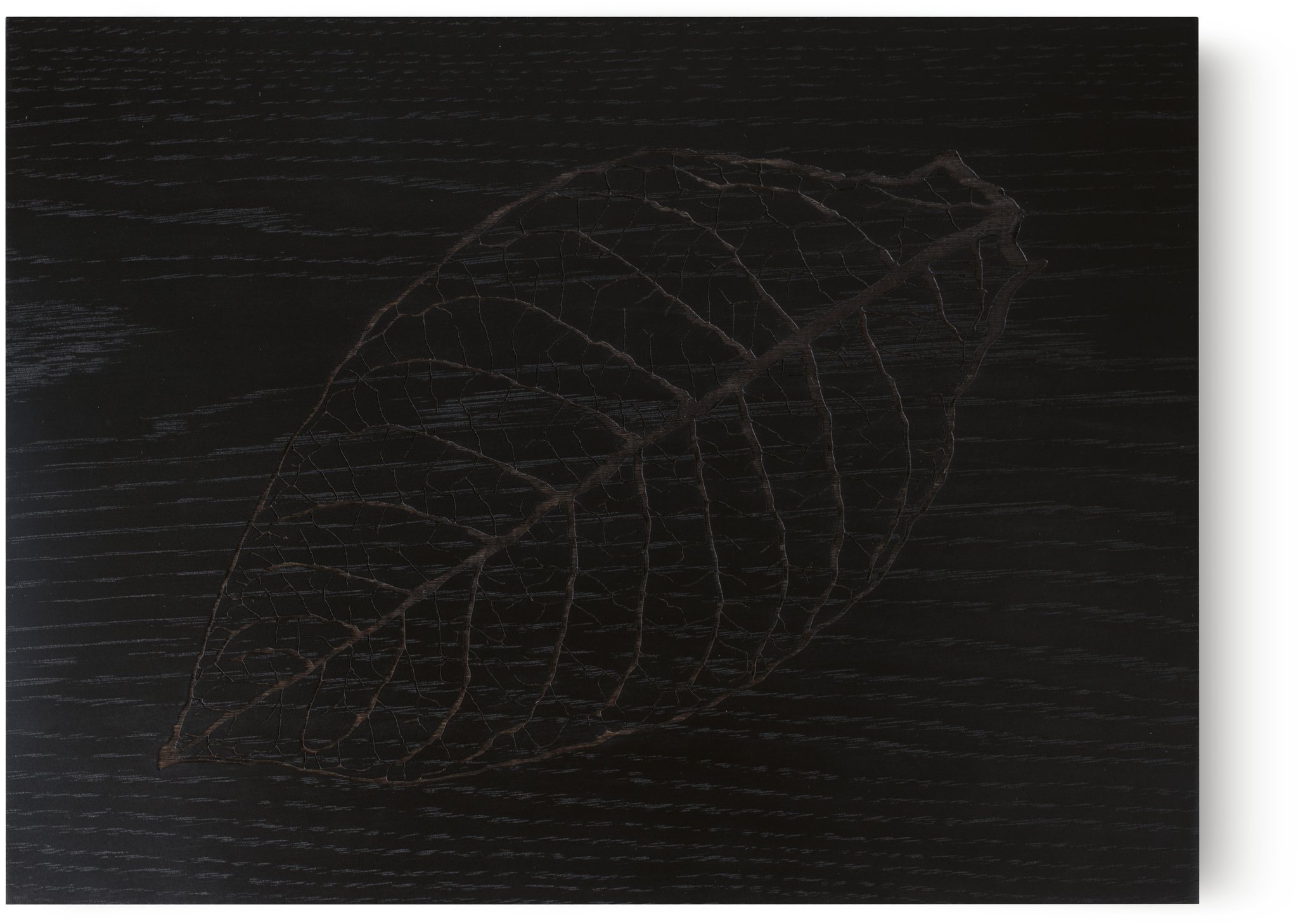 Zino Humidor Leaf Z 60 Eiche schwarz (51000492) Deckel