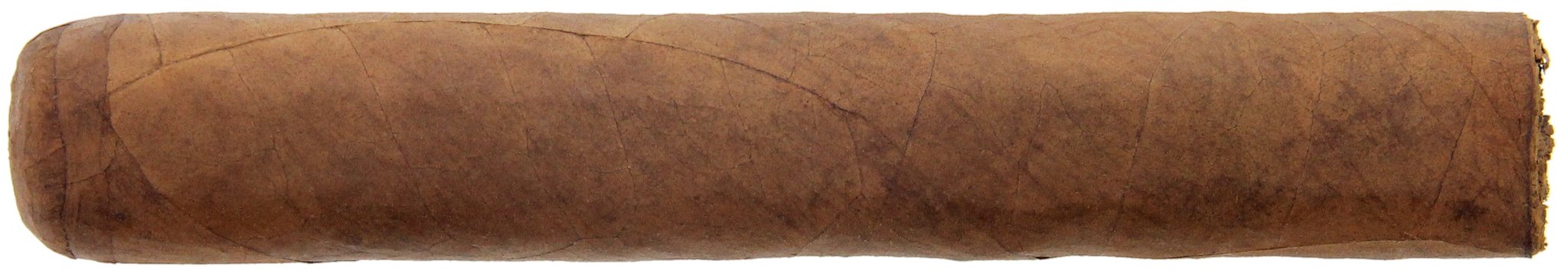 Flor del Sol Robusto