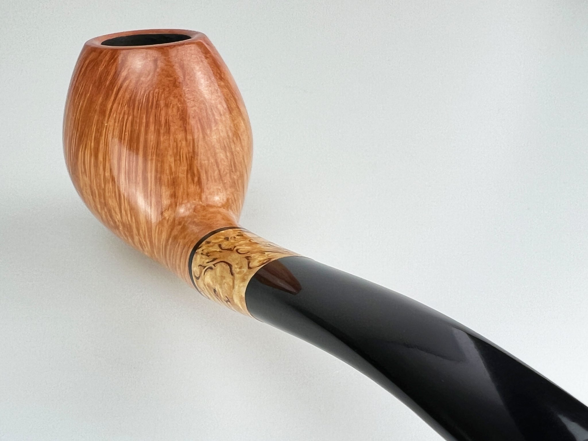 Brandy (interne Nr. 26) Detailbild