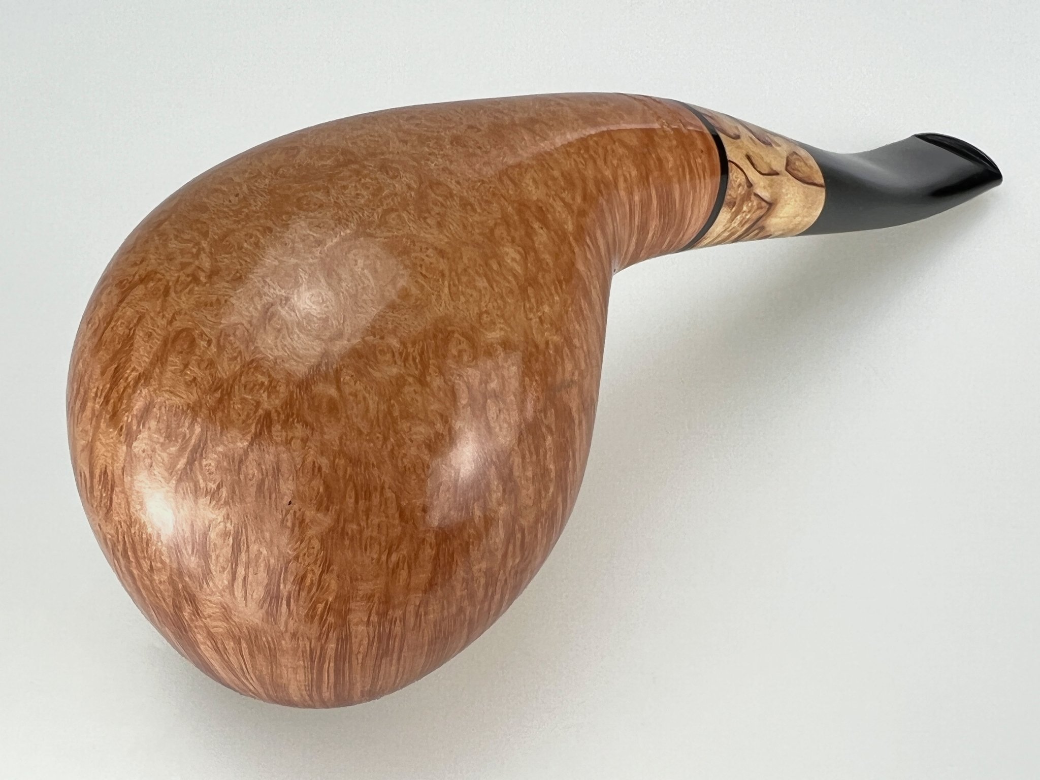 Brandy (interne Nr. 26) Detailbild 2