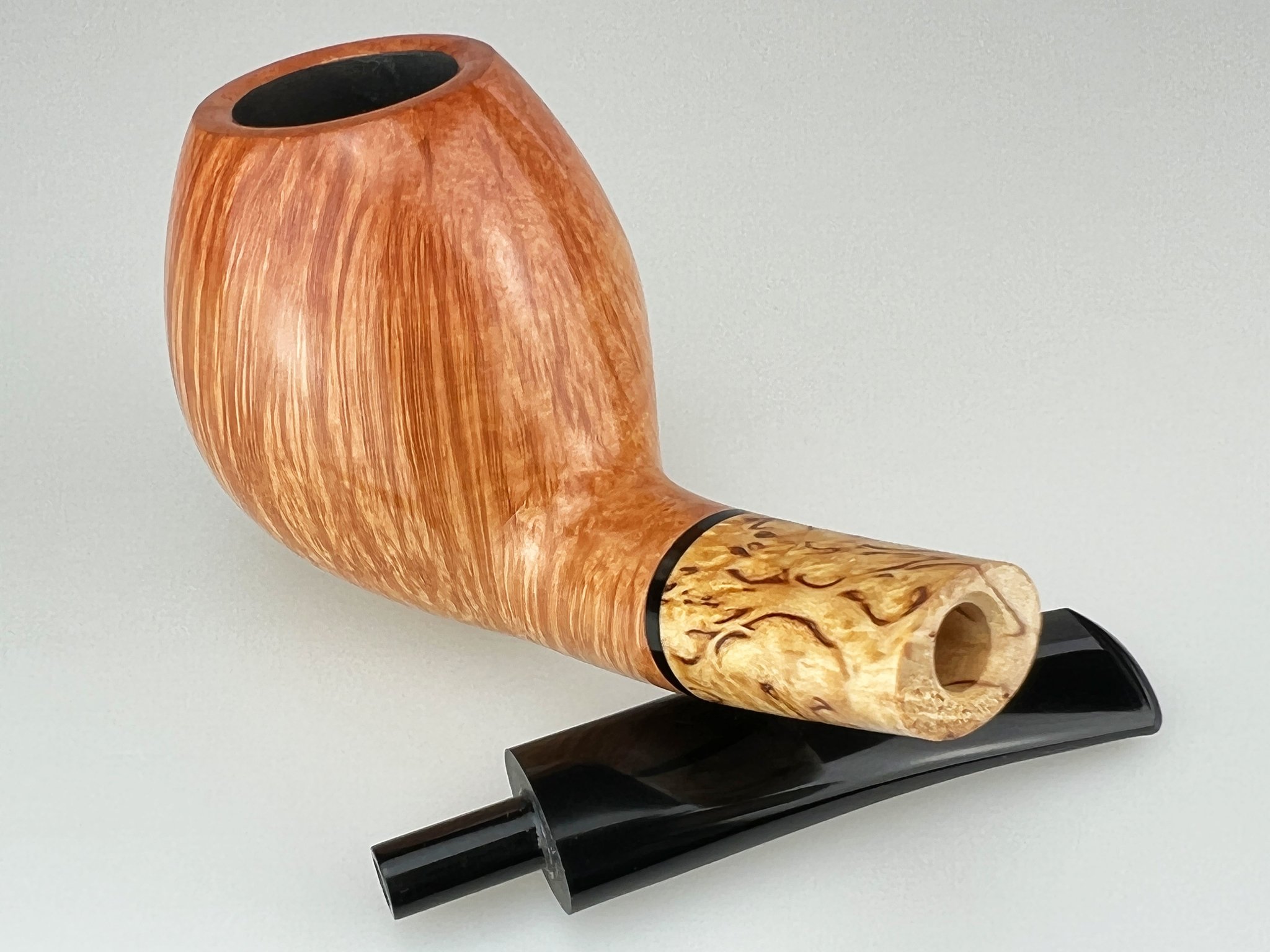 Brandy (interne Nr. 26) Detailbild 4