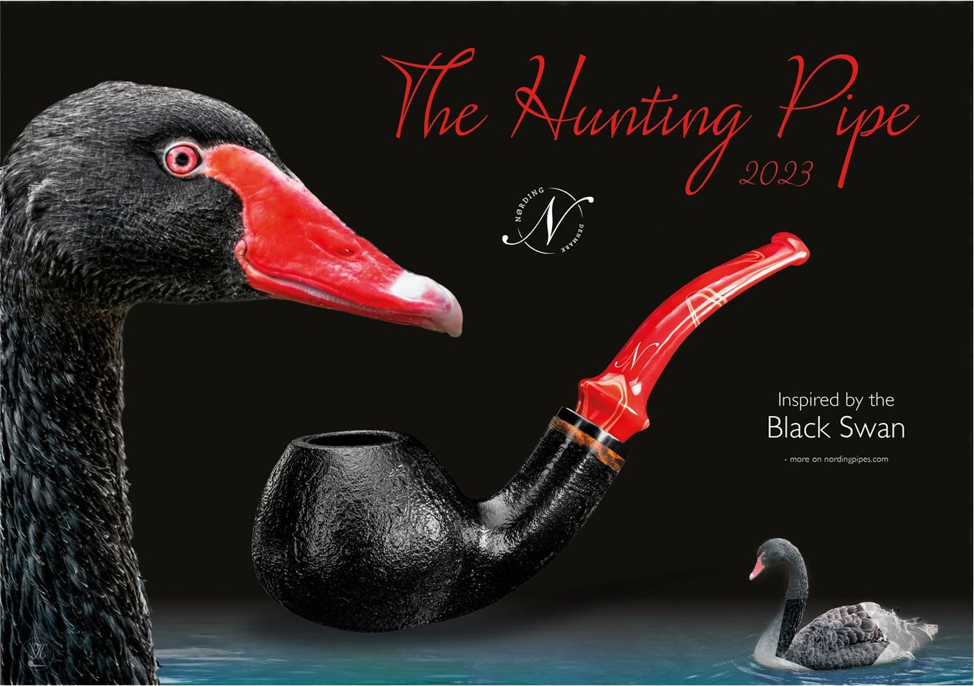 2023 The Black Swan Flyer