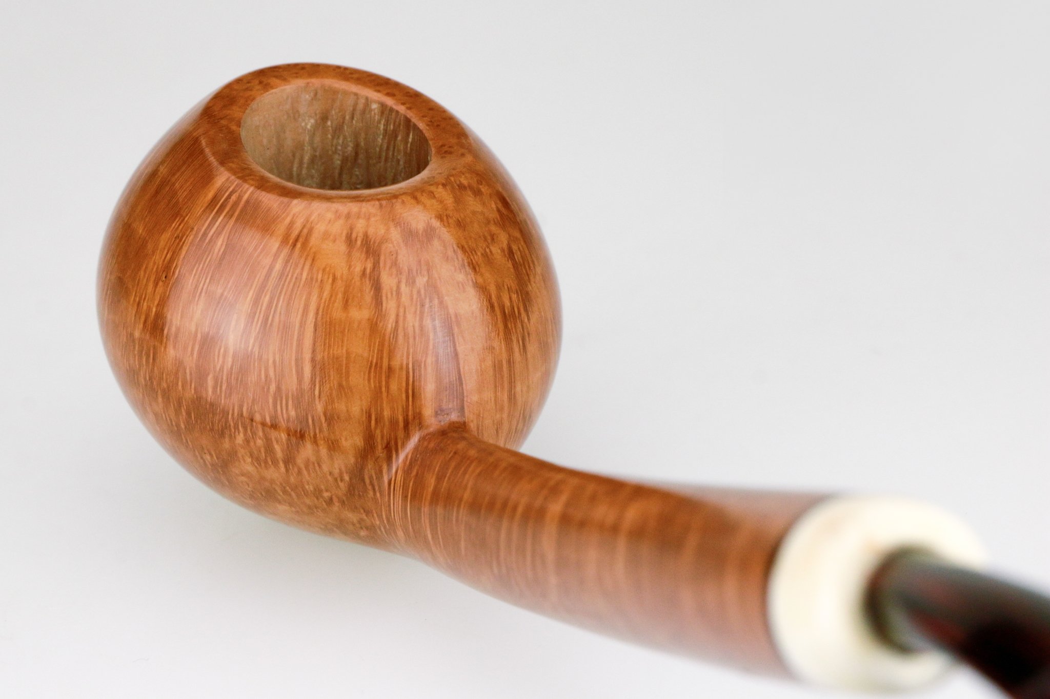 Flammata longue Shank Tomato (Interne Nr.16) Detail