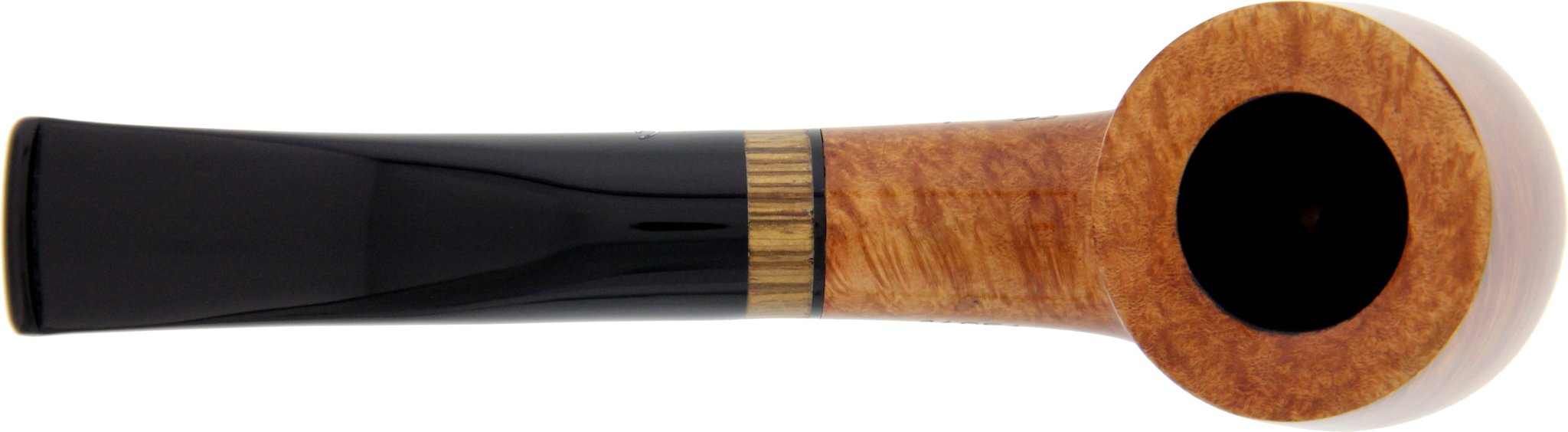 Giordano Cipressi 14954 natur Draufsicht