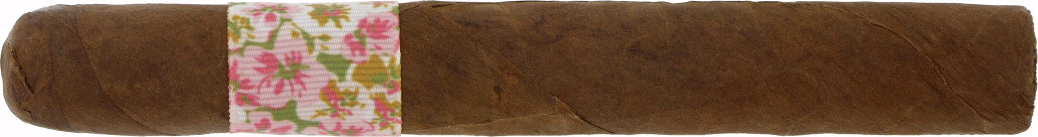 Dalay Artisan Series Box 22 von 30 Zigarre