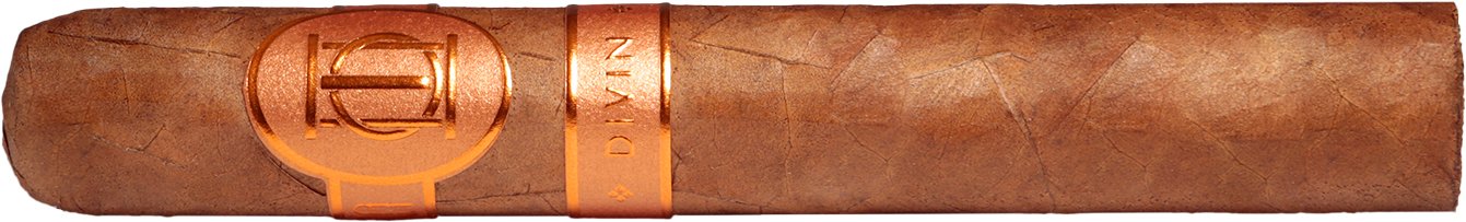 Laura Chavin La Ligue des Divins Short Churchill (Edition 2020)