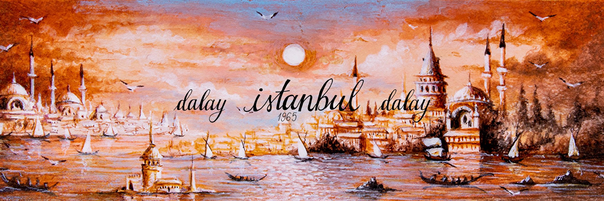 Dalay Istanbul Toro Bauchbinde