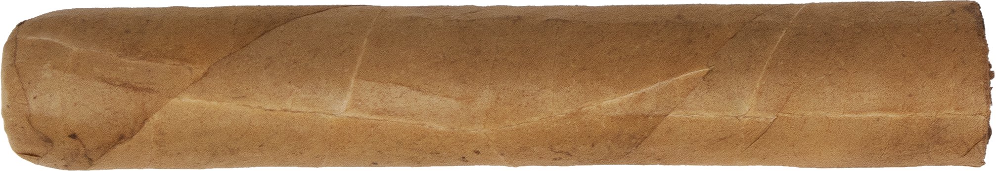 Paperboy Connecticut