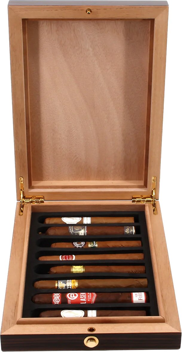 Vedado Humidor Ebenholz (10839) (14202) offen