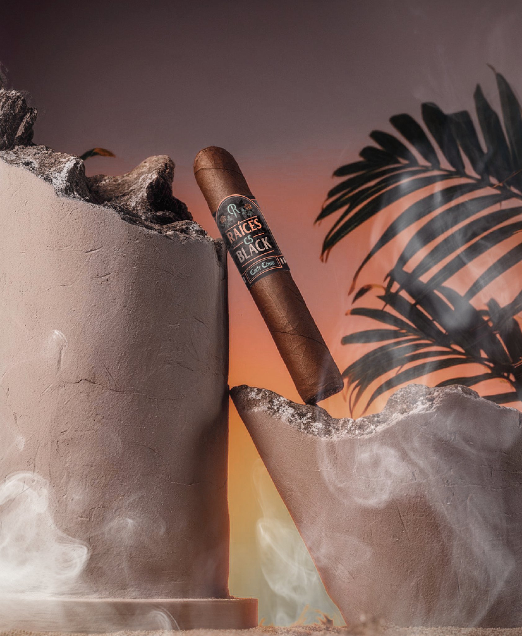 C5 Black Robusto Mood