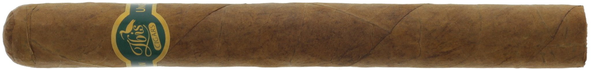 Ibis Honduran Selection Churchill