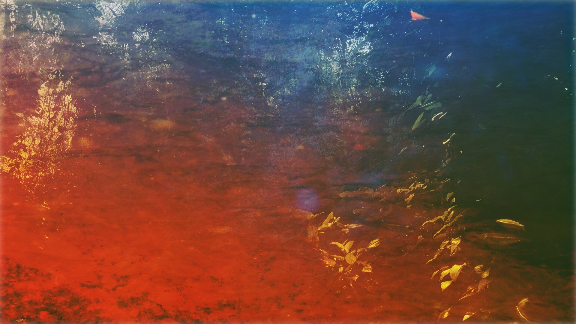 Davidoff Limited Editions ART Edition 2016 Design 2