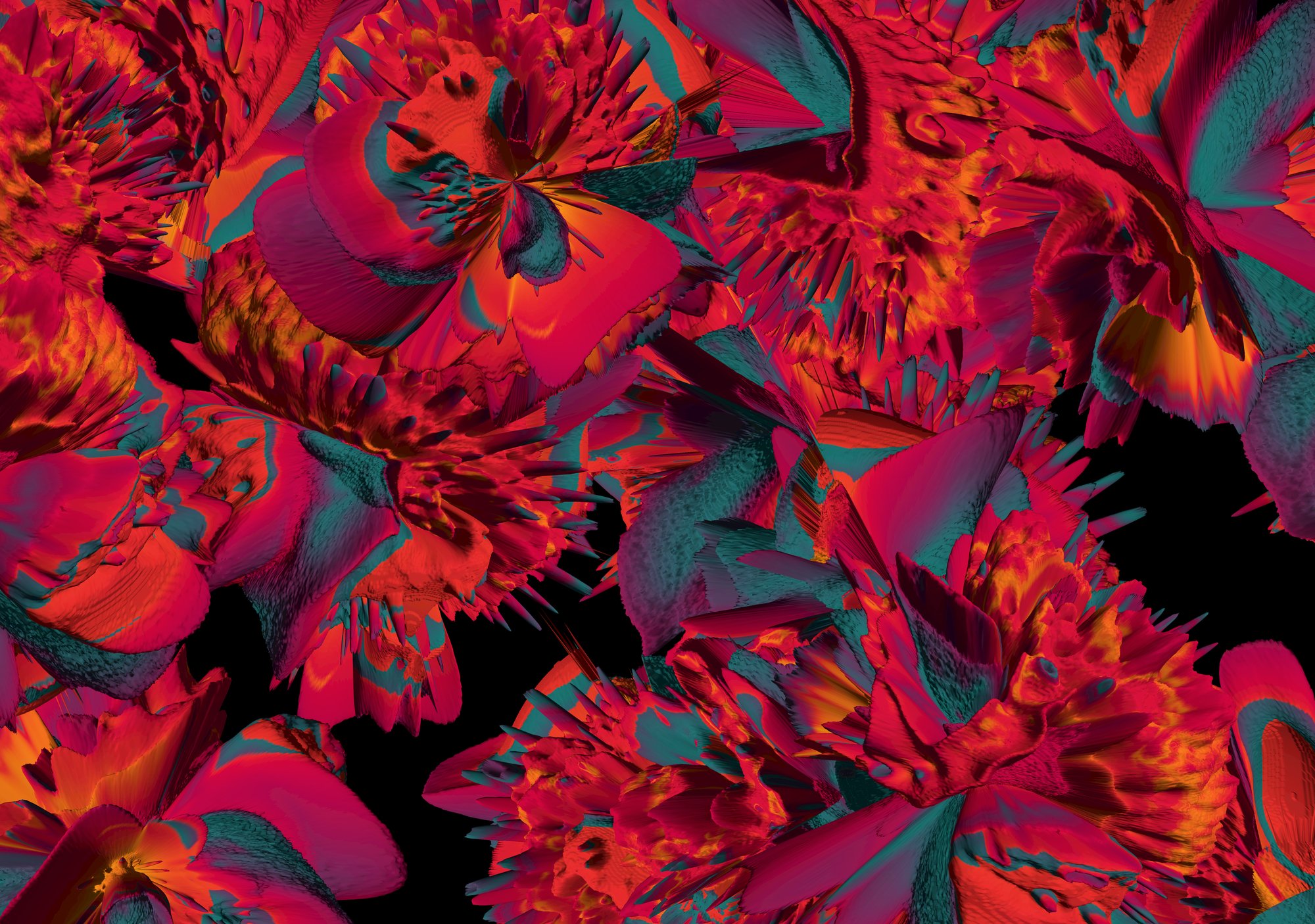 Davidoff Limited Editions ART Edition 2017 Hyperflower Kistenmotiv