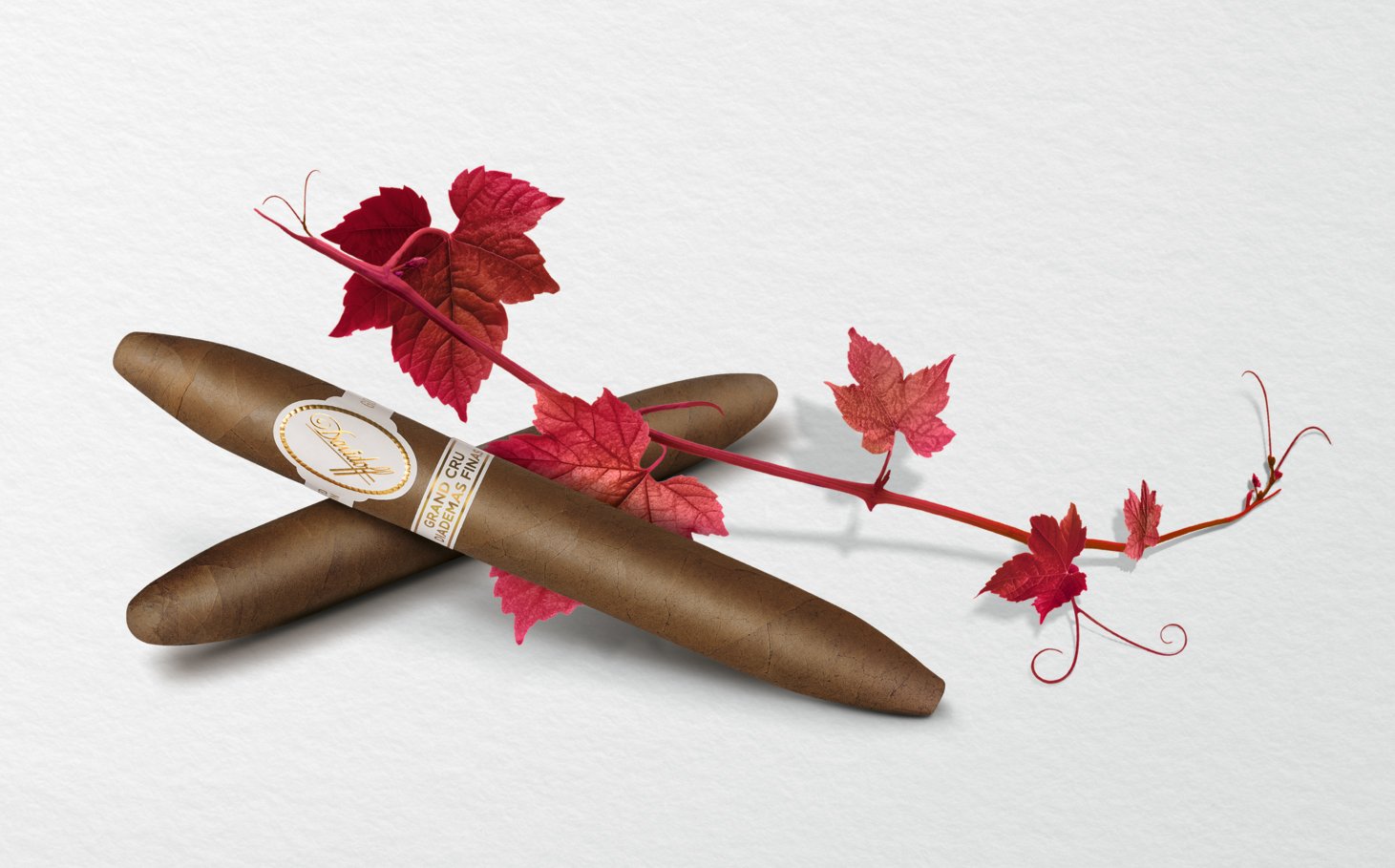 Grand Cru Diademas Finas Mood