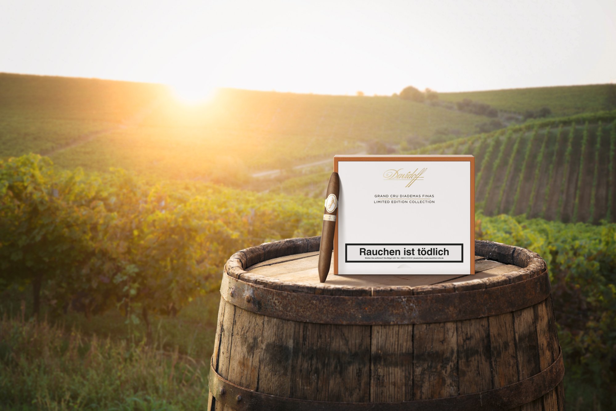 Grand Cru Diademas Finas Mood 3