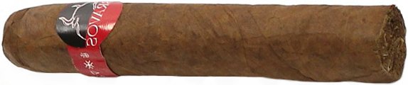 Bravos Robusto