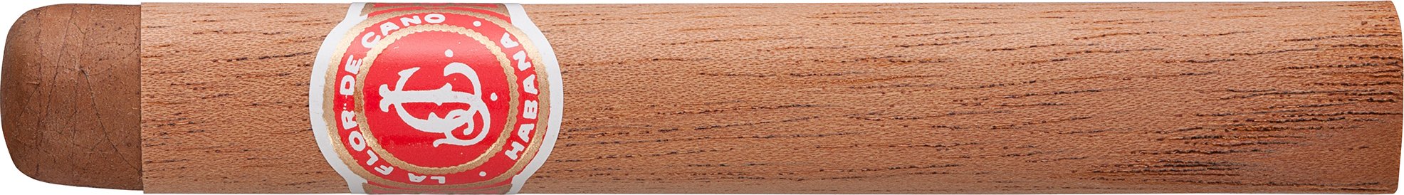 Flor de Cano Petit Corona