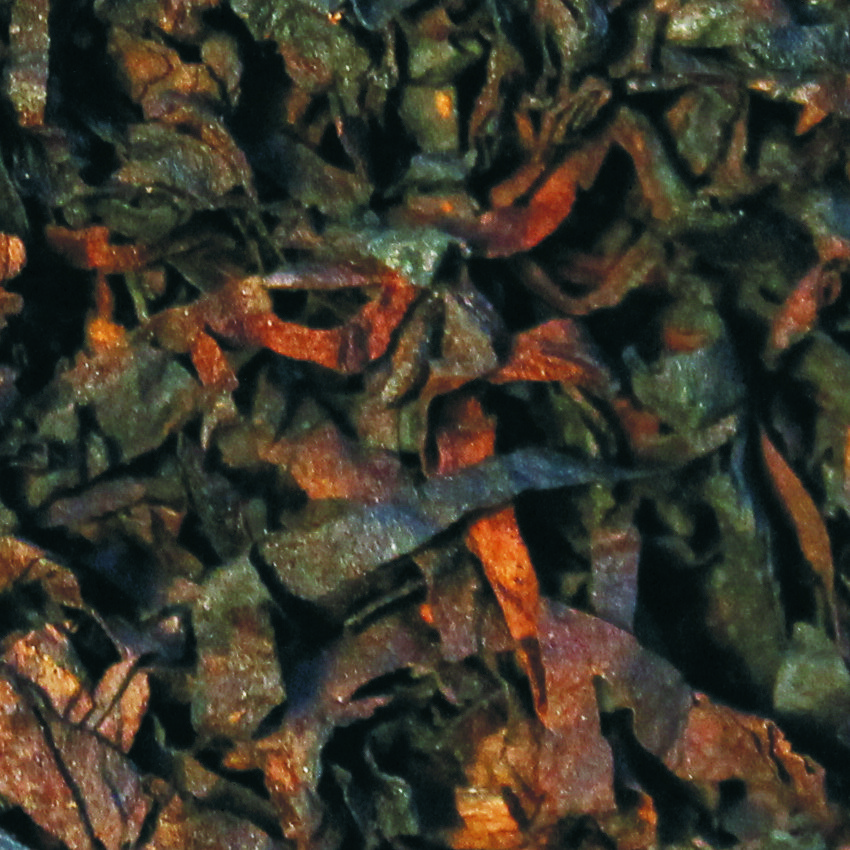 Robert McConnell Pfeifentabak Pure Latakia 50g Dose Schnitt