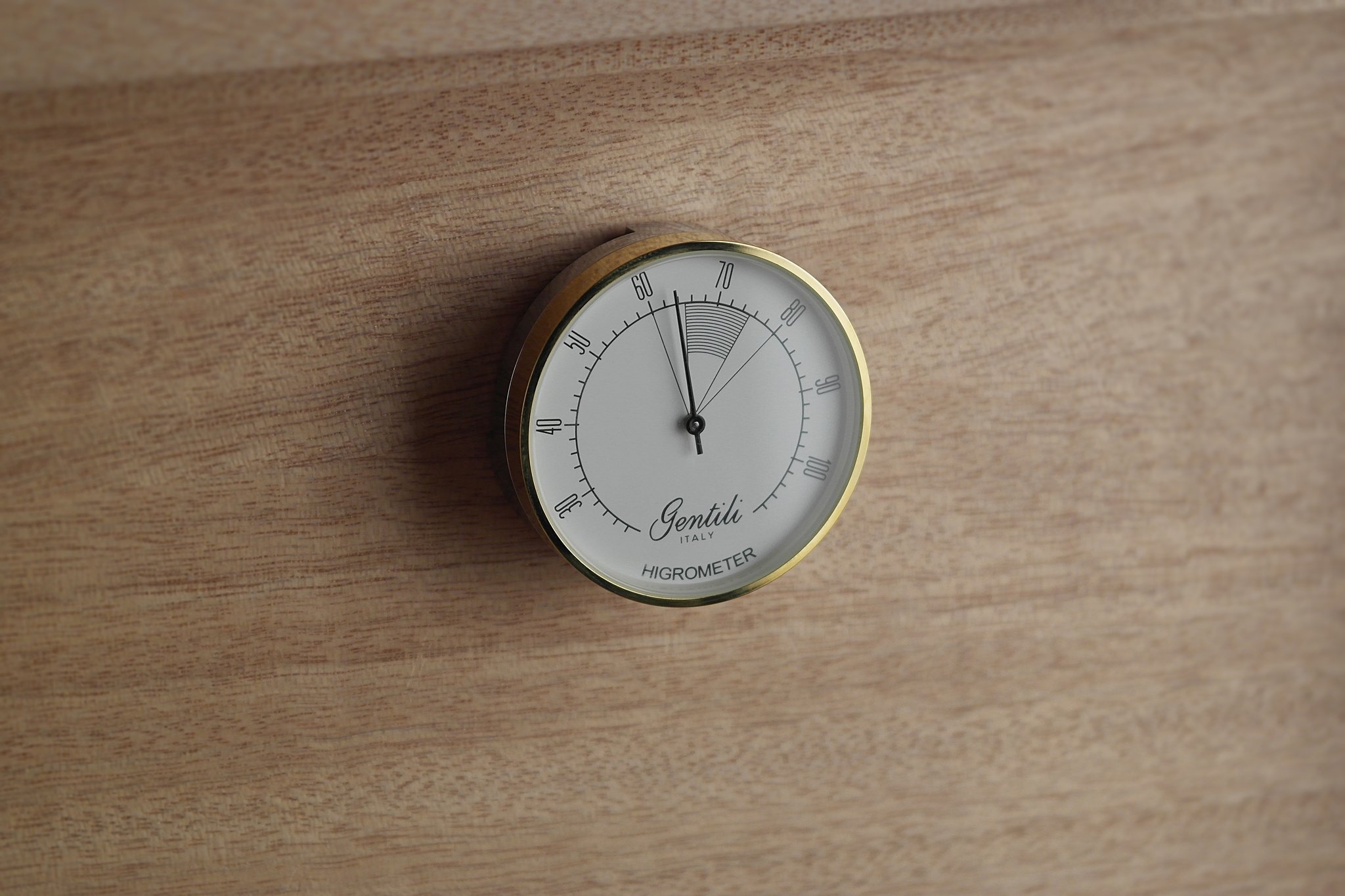 Edición Limitada 2022 Hygrometer