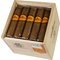 Classico Short Robusto Kiste
