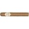 Flor de Selva Corona (50er Packung)