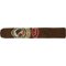 Dona Flor Mata Fina Seleção Robusto (MF)